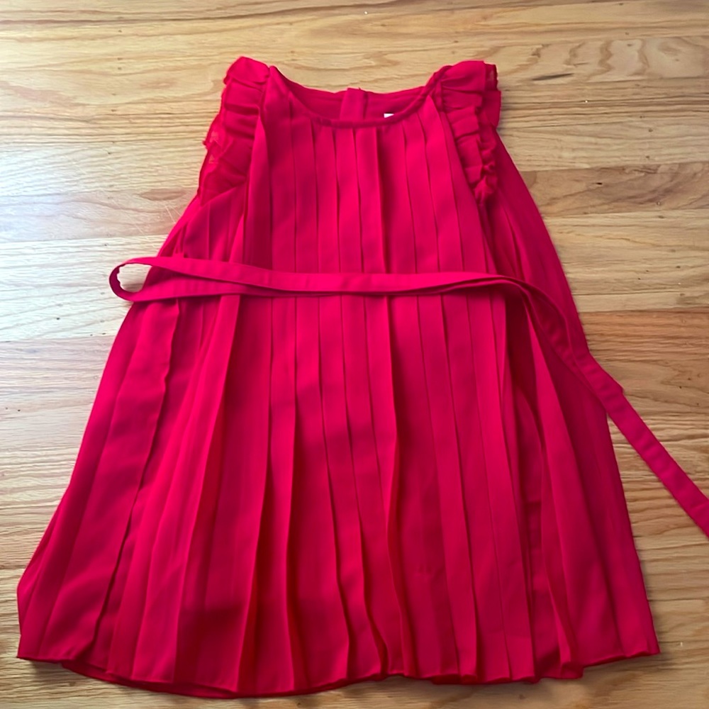 Beautiful Holiday Dress!